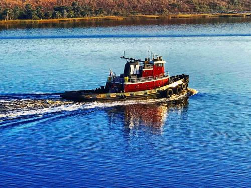 Novice-HM-St. John's Tugboat-LisaWaller