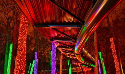 Advanced Color-2nd-Botanical Bridge-Janet Newton