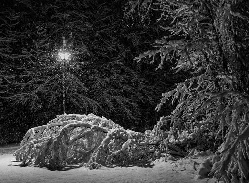 Advanced Monochrome 1st -Snow Fall-Greg Knobloch