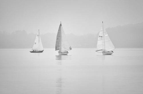 Advanced Monochrome 2nd - Foggy Morning Sail - Nicolette Dunn