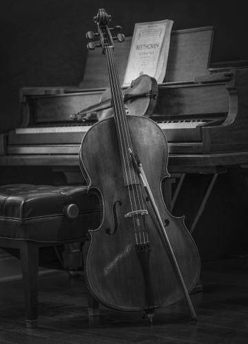 Advanced Monochrome-2nd-Piano Violin Cello-Jerry Frost
