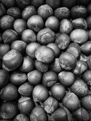 Advanced-Monochrome-2nd-Hazelnuts-Janet-Newton