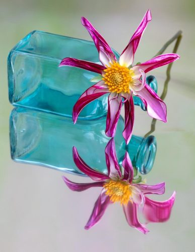 Advanced-Color-3rd-Color-on-Foil-Nicolette-Dunn