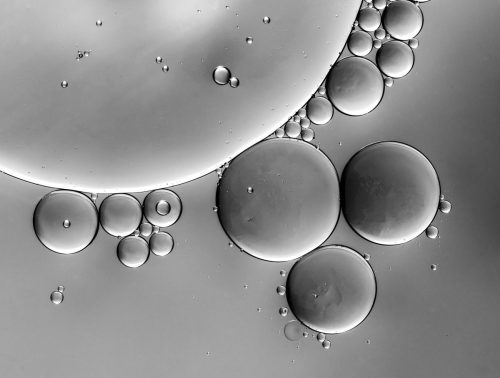 Advanced-Monochrome-1st-Grayscale-Orbit-Nicolette-Dunn