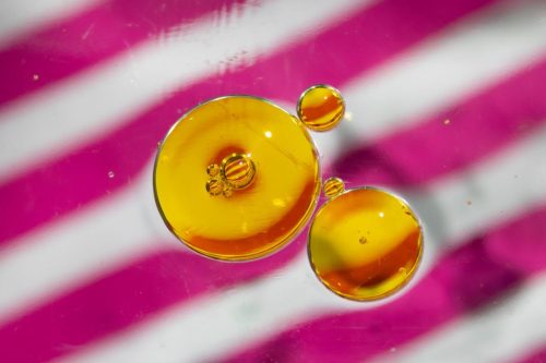 Novice-3rd-Connected-Teresa-Brooks