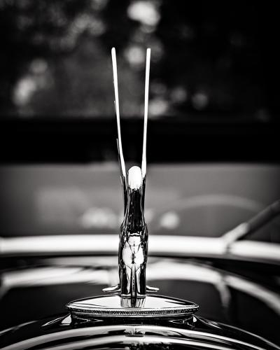Packard Hood Ornament