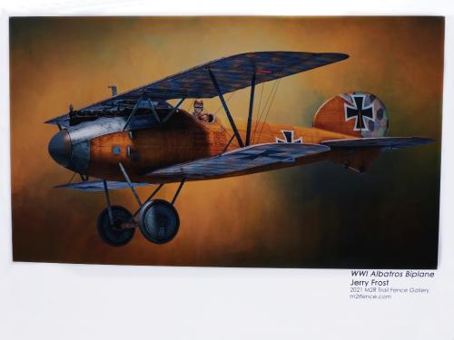 WWI Albatros Biplane-Jerry Frost