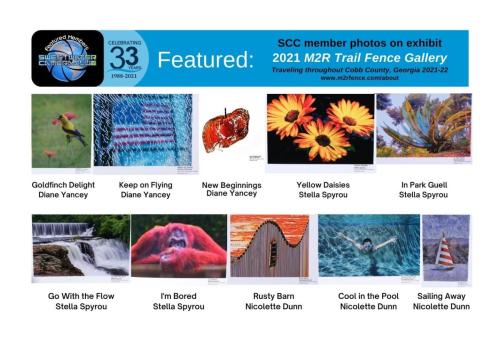 August 2021 Featured - M2R Trail Fence Gallery