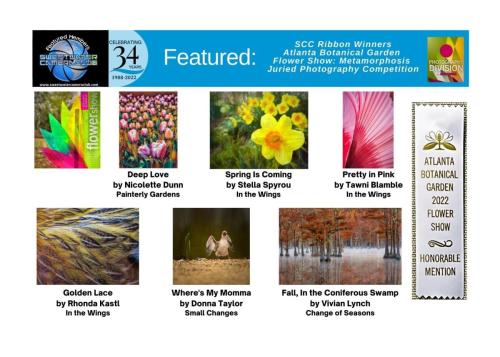 2022.04 Featured Atlanta Botanical Flower Show Honorable Mention