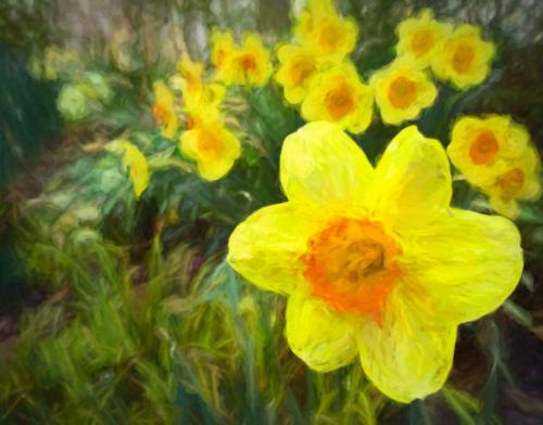 Spring is Coming-Stella Spyrou - Painterly Gardens
