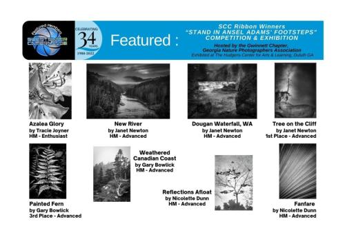 February 2022 - Winners in 'Stand in Ansel Adams' Footsteps' Competition and Exhibition